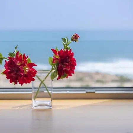 Fidalsa Paradise Sea Punta Prima * Punta Prima (Alicante)