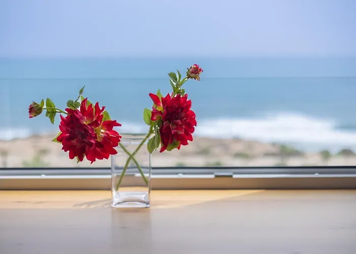 Fidalsa Paradise Sea Punta Prima * Punta Prima (Alicante)